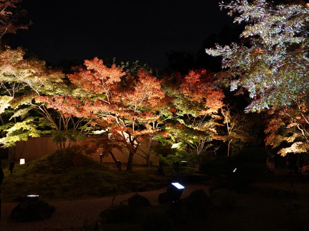 円通院紅葉の様子 19年11月7日 石庭は見頃になりました 新着情報 松島センチュリーホテル 公式hp